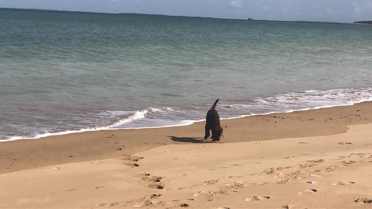 Le Clos Des Lys Villa Saint-Georges-d'Oleron Eksteriør bilde